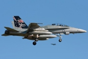 A21-110, Boeing (McDonnell Douglas) F/A-18B Hornet, Royal Australian Air Force