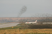 Boeing 737-400, CSA Czech Airlines