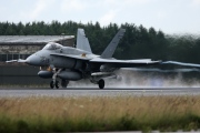 C.15-39, Boeing (McDonnell Douglas) EF-18A Hornet, Spanish Air Force