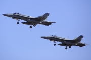 C.15-81, Boeing (McDonnell Douglas) F/A-18A Hornet, Spanish Air Force