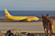 D-AHFV, Boeing 737-800, TUIfly