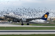 D-AILP, Airbus A319-100, Lufthansa