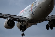 EC-HGO, Boeing 737-800, Air Europa