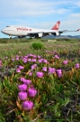 EC-KQC, Boeing 747-400, Pullmantur Air