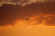 EI-ELZ, Boeing 737-400, Mistral Air