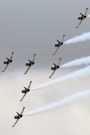 ES-TLF, Aero L-39C Albatros, Breitling