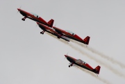 Extra 300-L, Royal Jordanian Falcons