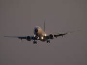 HA-LOC, Boeing 737-800, MALEV Hungarian Airlines