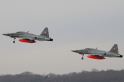 J-3069, Northrop F-5E Tiger II, Swiss Air Force