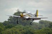 NX251RJ, North American TF-51D Mustang, Untitled