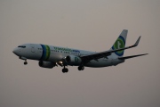 PH-HZK, Boeing 737-800, Transavia