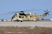 QA33, Westland Commando Mk.3, Qatar Amiri Air Force