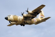 SU-BAU, Lockheed C-130H Hercules, Egyptian Air Force