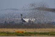 SX-OBE, De Havilland Canada DHC-8-400Q Dash 8, Olympic Air